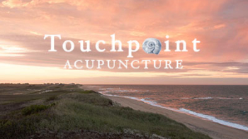 Touchpoint Acupuncture